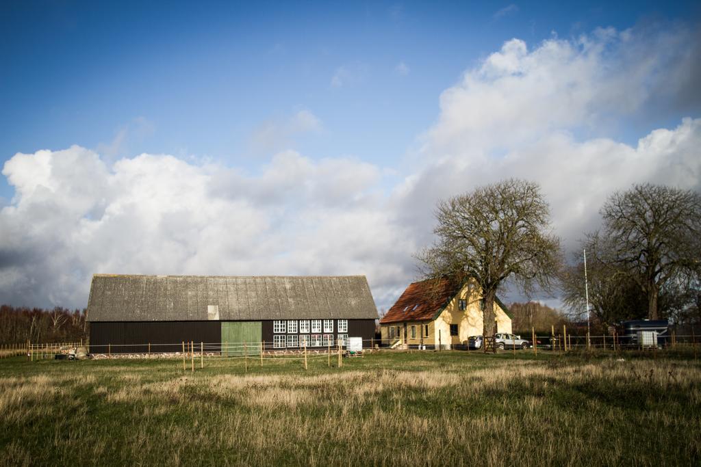 Froeken Hjorts Bed And Breakfast Höganäs 外观 照片